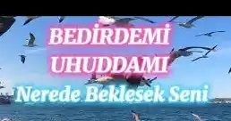 bedirdemi uhuddamı ilahisi